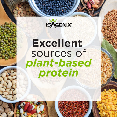 Isagenix Dairy Free Options (Plant Based Protein)